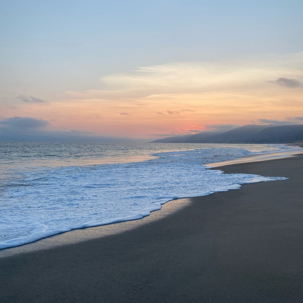 Meet your Posher, Sky!